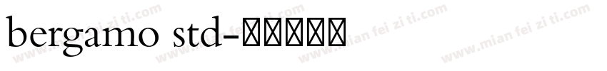 bergamo std字体转换